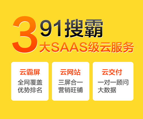 九一搜霸 專注網(wǎng)絡(luò)推廣與互聯(lián)網(wǎng)信息咨詢的專業(yè)服務(wù)商